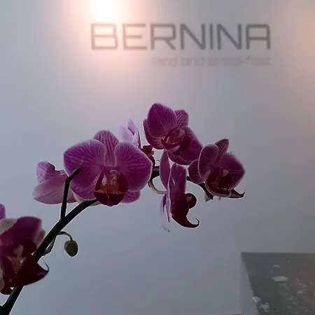 호텔 Bernina 3*
