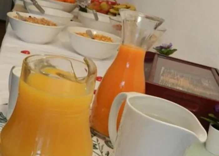 酒店 Bernina 达沃斯