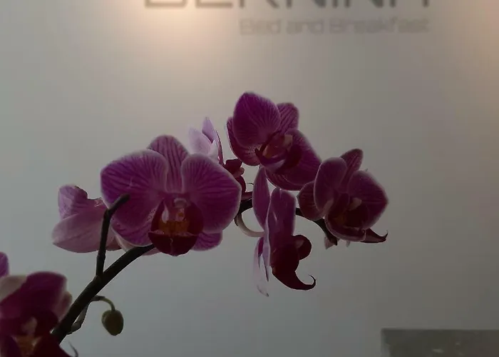 酒店 Bernina 达沃斯